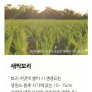 차담온 이미지