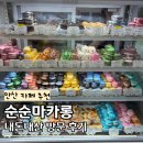 카페순순