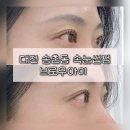 파리바게트 선비점 | 대전 송촌동 속눈썹펌 브로우아이 | 짧은속눈썹 블랙틴팅펌 솔직 후기