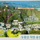 비바플렉스 이미지