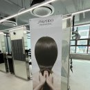 어논헤어(Anon hair) 네이버블로그