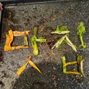 고기를사랑하는집(고집) 김포직영점 이미지