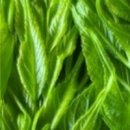 청양농장 이미지