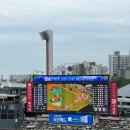 장안41 | 수원kt위즈파크 1루 스카이존 406구역 3열 40번 41번 시야 후기 (장안구청 주차)