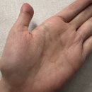 시니 케어 | Y모공앰플 디마르3 시니그처 에스투드 프로텍터 5.2 후기