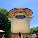 도코데이 이미지