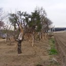 이화봉농장 이미지