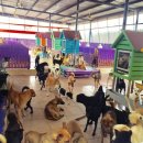 개토피아 이미지