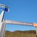 우미타운상가 네이버블로그