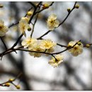 범어공원 이미지