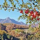 히말라야PC 이미지