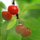 비온후풍경 이미지