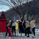 제이드초이스