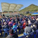 무정면 은행나무 축제 이미지