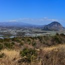 하모체육공원 이미지