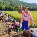 바리안꺼 영농조합법인 이미지