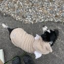 더블스테이가평2호점 이미지