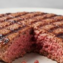 바이오포인트 이미지