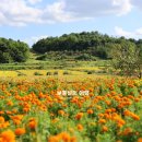 예산-72 | 예산 가볼만한곳 베스트 10