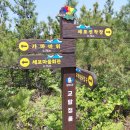 완도전통시장 | 전남완도 금당도...교암청풍