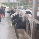 세종목장 이미지