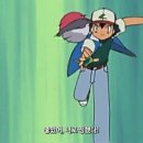 제주목화 이미지