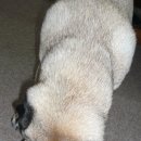 주식회사 아이웰니스 이미지