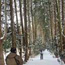 (주)동화택시 | 제주도 2박 3일 여행 코스 겨울 제주 스냅사진 비밀의 숲 제주 숙소 맛집 제주공항 짐 보관소 가격 위치...