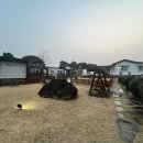고성2119;위플레이독