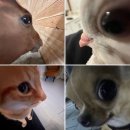 자자! 밀린 블로그 파이팅 하고 시작한다!