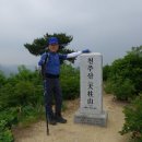 독산봉수지 Daum카페