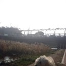 아름애견 이미지