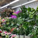 삼호안경 이미지