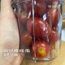 올해 마지막 수영복을 위한 2021년 9월 2주 식단일기 (51.0kg &gt; 51.1kg)