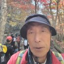 2023.10.28. 지리산 삼신봉(청학동~삼신봉~삼성궁 약 8.07km 5시간14분)..대덕산우회.. 이미지