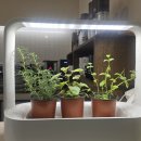 베스트삼성 공인중개사사무소 이미지