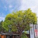 보리밥 손칼국수 | 하남 미사 점심 맛집 몽촌토성보리밥손칼국수 혼밥 후기