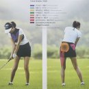 스윙의 기초 이미지