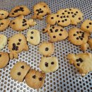 문당2 | 홍성 쿠키 만들기 체험 후기 홍성 문당 마을에서