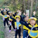 숲속유치원 이미지