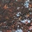 더위드치과의원