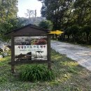 산삼꽃피는마을 | 안성 한옥 산삼꽃피는마을 펜션에서 촌캉스 추천