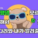 펫조이 이미지
