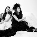 스르르르 이미지