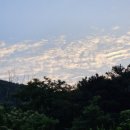 정자한마음약국 이미지