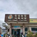 청도 현지인이 인정한 육회비빔밥 맛집 칠성농장 식육식당 후기(Feat. 핫플과 비교)