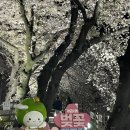 개금2동-8 이미지