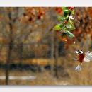 숲속의 하루 이미지