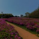 우암동 도시숲 이미지