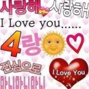 완전히 야르다